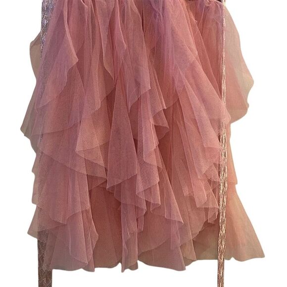 Biscotti Girls 4T Pink Tulle Ruffled Party Dress Sleeveless Knee Length - Picture 7 of 12
